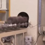 Granalladora GNV GLP - CMV