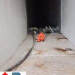 WhatsApp Image 2024-11-30 at 11.15.16 AM (2)-min